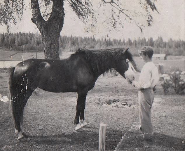 Vaarille hevoset olivat hyviä työtovereita, Mannilan viimeinen työhevonen oli nimeltään Lohtu.