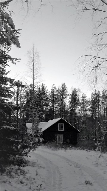 Hiljaisella pihalla ei ole talvella montaa kulkijaa.