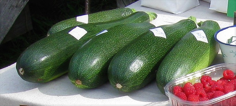 Kuvassa kesäkurpitsoja