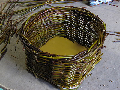 Pajukori vaneripohjalla