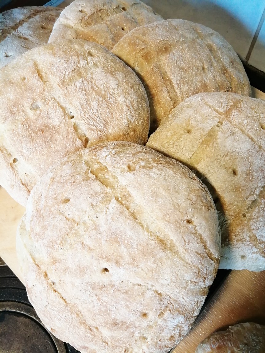Kuvassa juuri paistettuja rieskoja Mannilan keittiössä