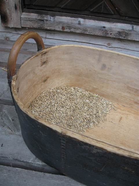 Kuvassa viljavakka